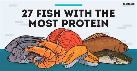 27 Fish With The Most Protein (Complete List) .